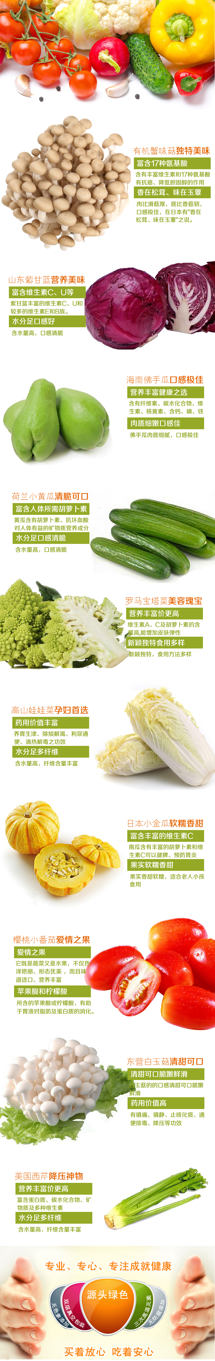 蔬菜1副本1